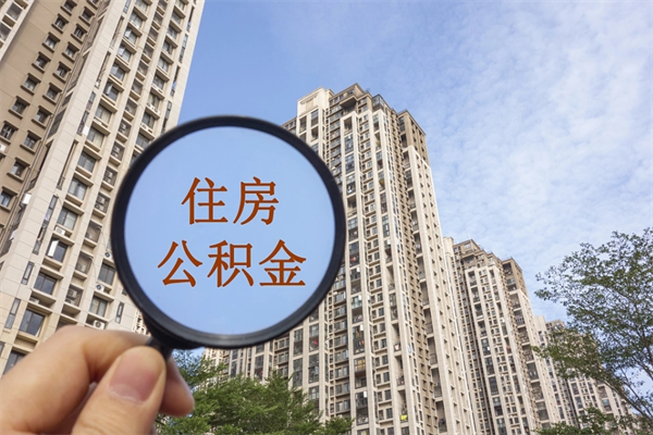 东莞公积金离职后多久才能取（东莞公积金离职后怎么提取）
